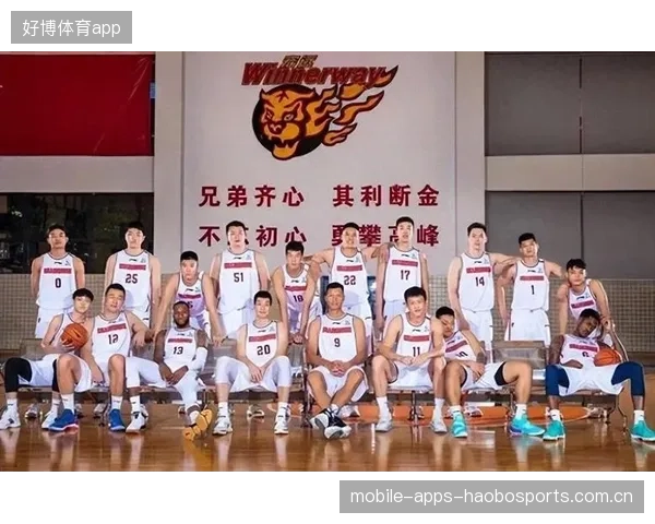 广东队补强小外援：从“小球王”到“全能杀手”的转型之路